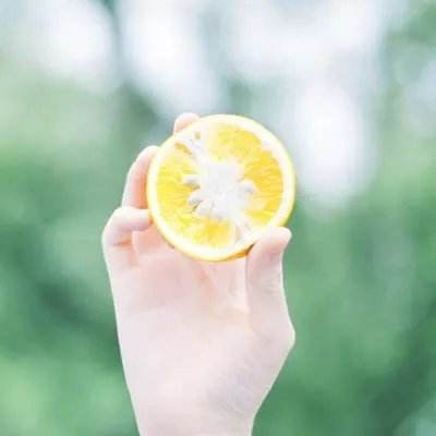 躺平发育游戏(猛鬼宿舍)下载